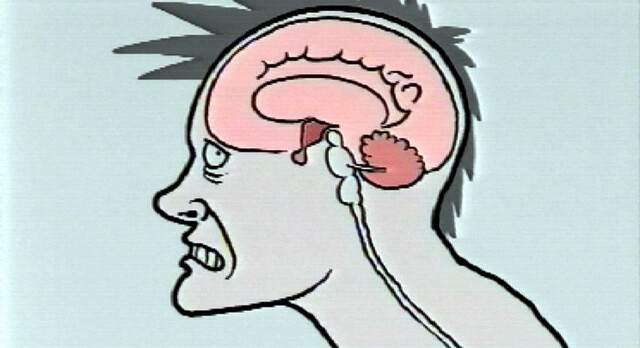 Noorderlicht - stress