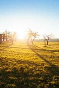 image for 226:2026-01-03T10:00:39+01:00 rcrsBroadcastAgain() Caf� ?