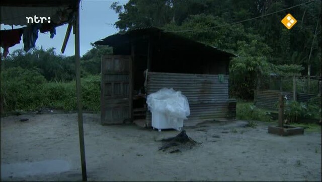 Edgar Cairo: Ik ga dood om jullie hoofd (Uur van de Wolf)