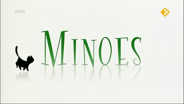 Override of the title Minoes