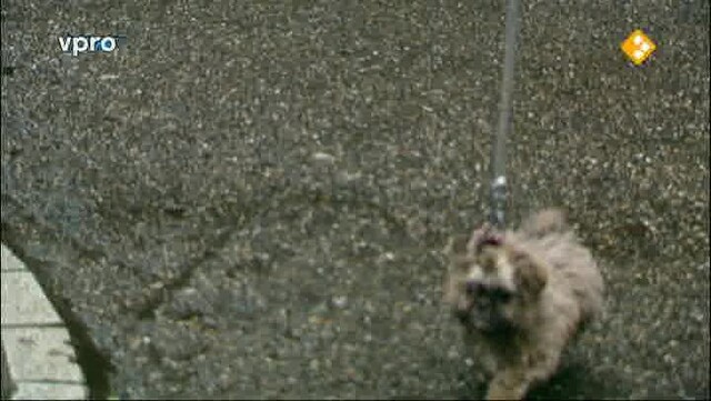 Override of the title 3Doc: Alles wat we wilden